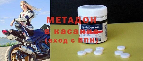 гашик Алексин