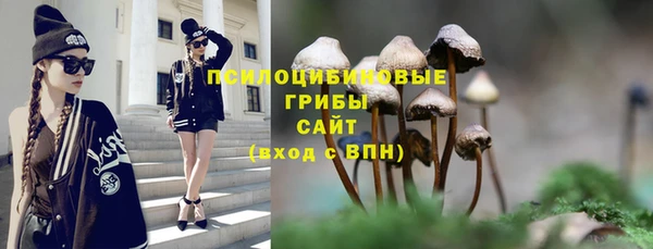 гашик Алексин