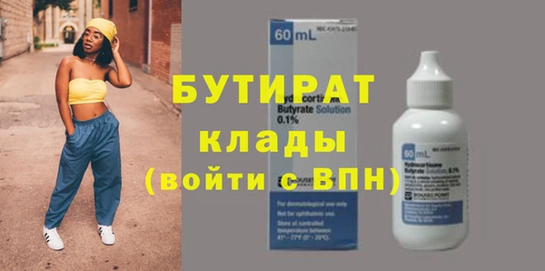 гашик Алексин