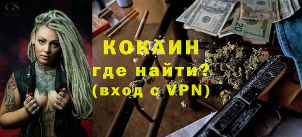 гашик Алексин