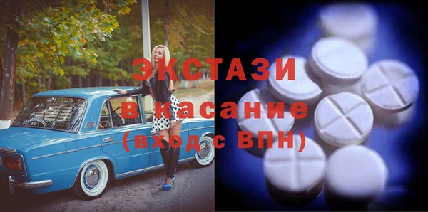 гашик Алексин
