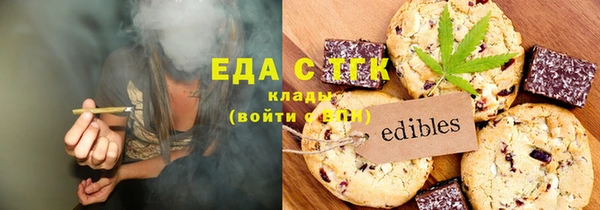 гашик Алексин