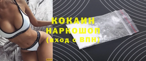 гашик Алексин